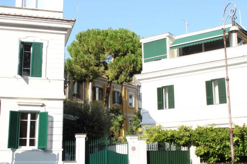 Perizie di abbattimento