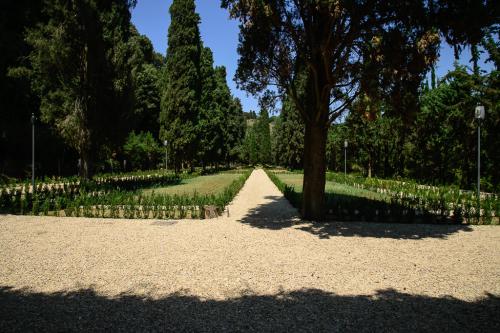 Progettazione e realizzazione giardini