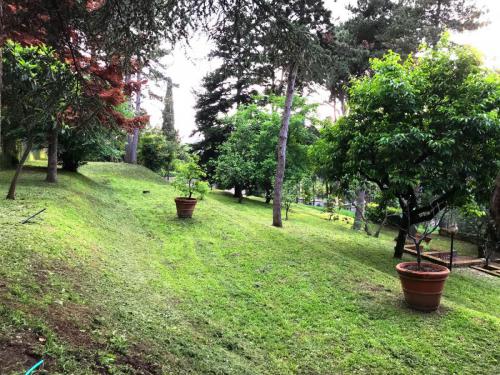 Gestione giardini